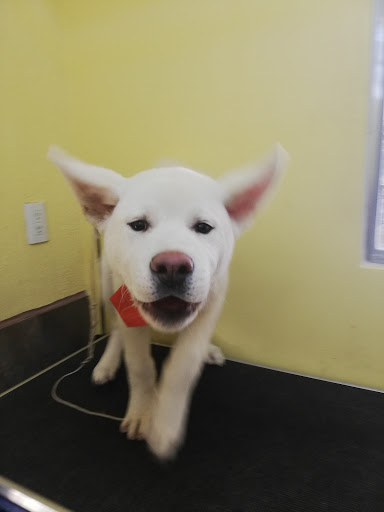 Clínica Veterinaria Torres