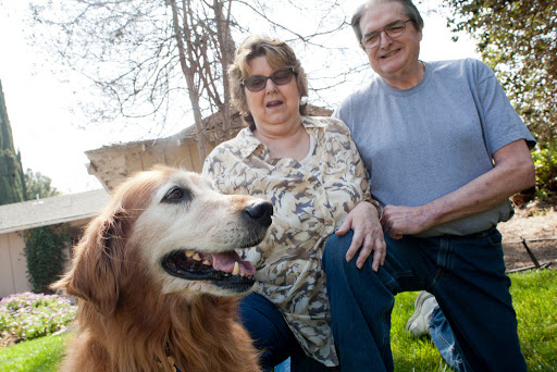 Dr Kathys Mobile Pet Care - Thumbnail