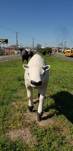 Buffalo Statues - Thumbnail