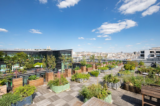 Photo de Garden Arrosage