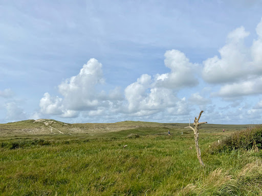 Stichting Dorpshuis "De Wielewaal" - Thumbnail