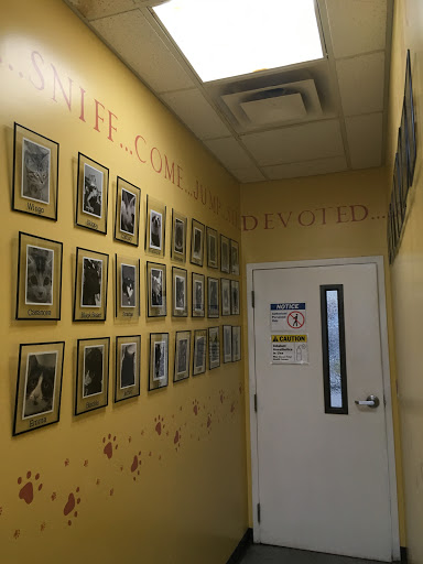 Electric City Animal Clinic - Thumbnail