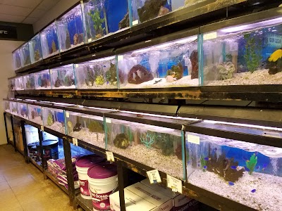 Sailfin Pet Shop