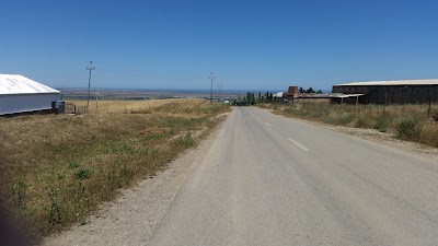 Photos of DEBRO MMC
