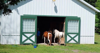 SS Equestrian Services at Pinebourne North