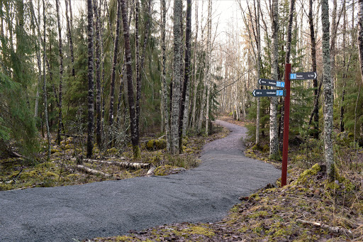 Isalanäset