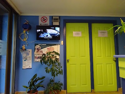Photos of Vetclin Centro M&eacute;dico Veterinario