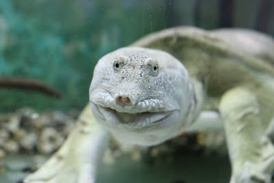 Photos of Minsk Zoo