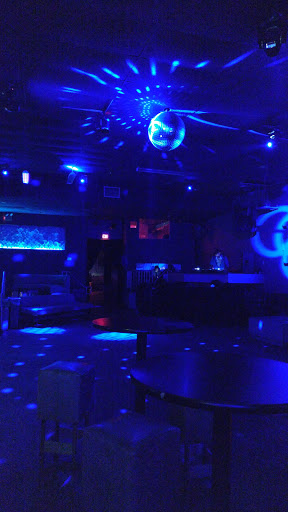 Bar Fly - Visual
