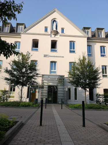 Frau Dr. med. Karin Laws photo