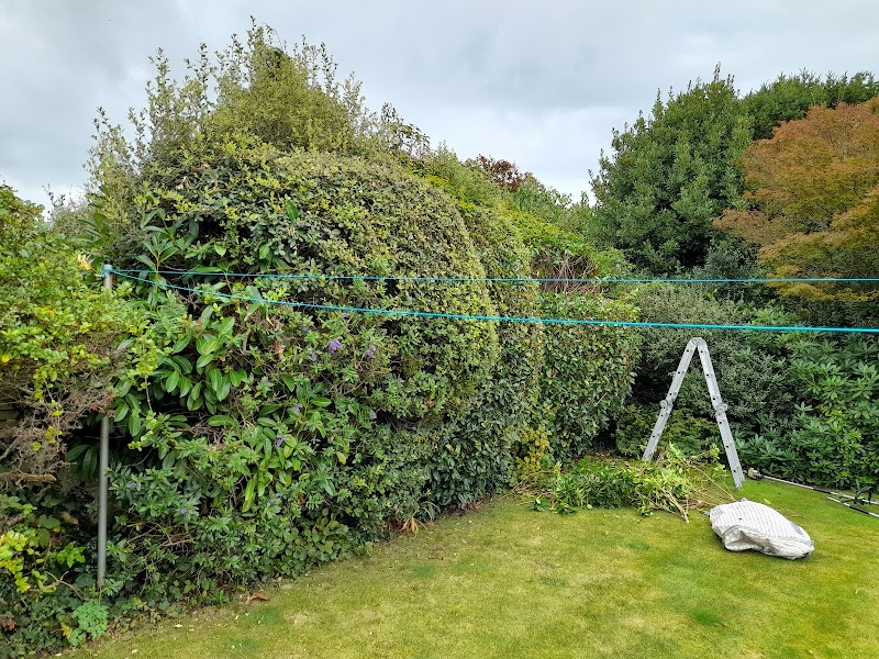 DM Gardening photo 3