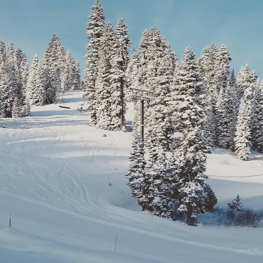 Thrill of the Mountain - Thumbnail