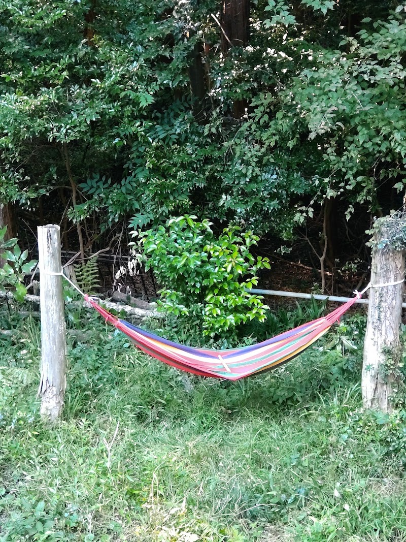 えめたんキャンプ場