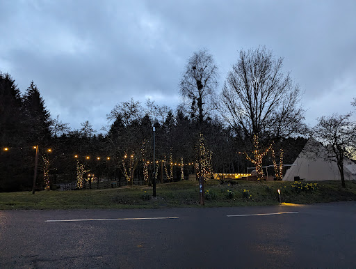 Kielder Water & Forest Park - Thumbnail