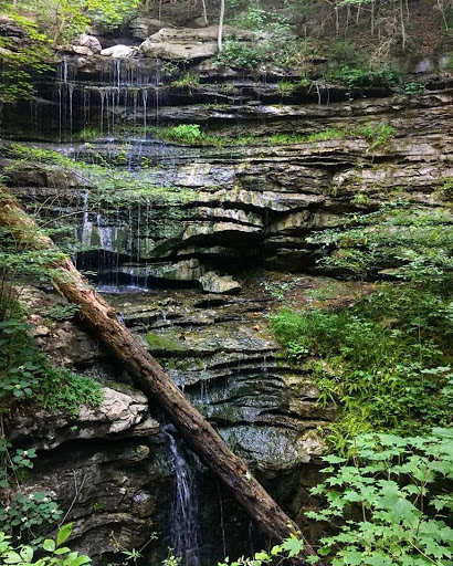 Visit McMinnville, TN Gallery - United States