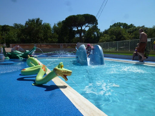 Photo de MD PISCINES MATERIEL PISCINES ET EQUIPEMENT PISCINES JEUX AQUATIQUES