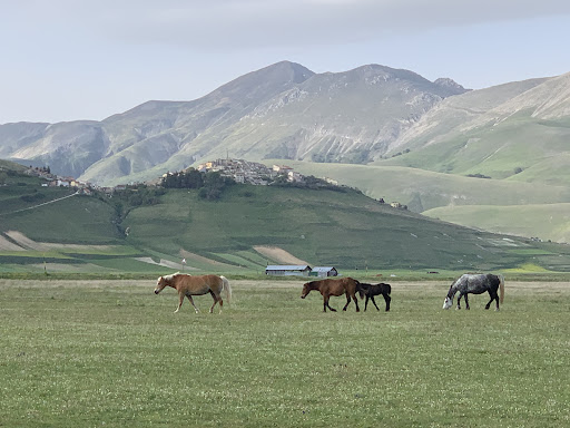 Sibillini Ranch - Visual