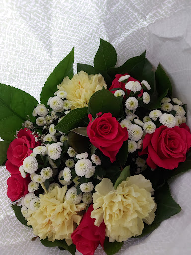 Wolf Blumen - Visual