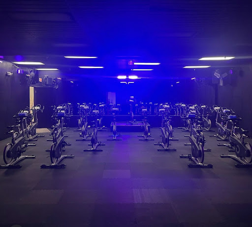 Evolution Cycle Studio - Visual