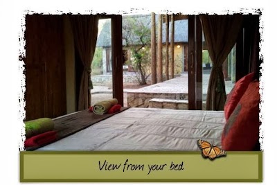 Photos of Hoedspruit Lodge