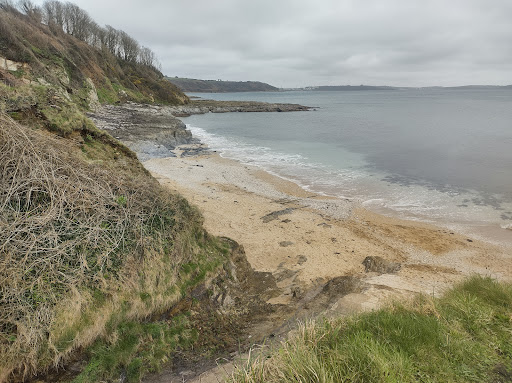 Bream Cove - Visual