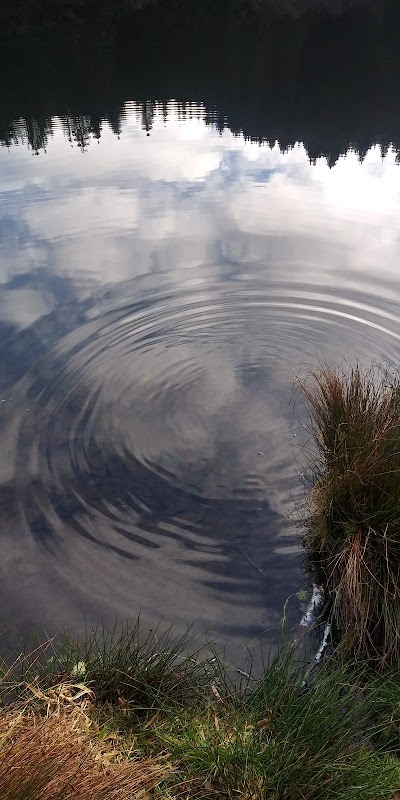 Upper Lake Creek