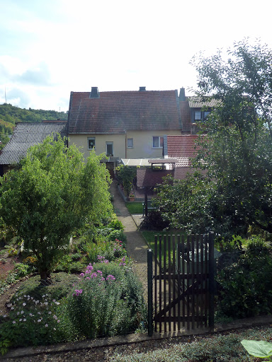 Weingut - Ferienhof Lamp - Thumbnail