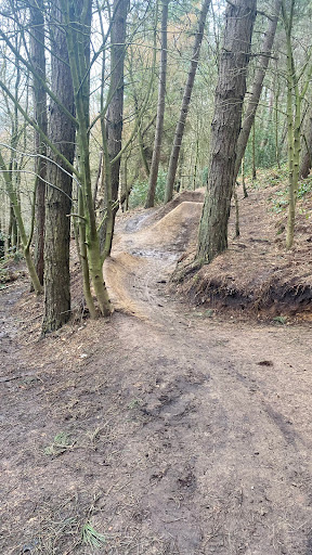 Errington Woods Playground - Thumbnail