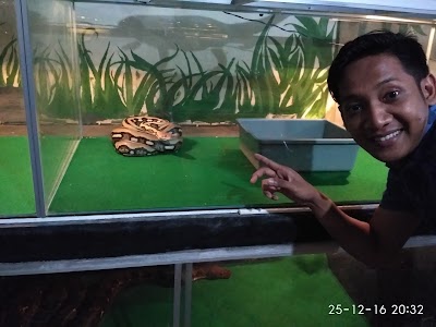 Photos of Angkringan Wifi Reptile