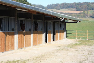 Photo n°6 de Centre équestre de Guerlédan à Guerlédan (Centre équestre)