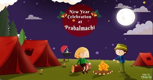 Gallery image 23