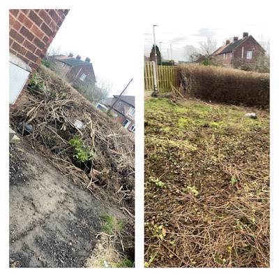 Wakefield waste services and property maintenance