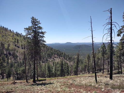 Kendrick Mountain Wilderness
