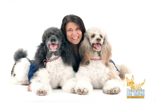Belle vie de chien - Thumbnail
