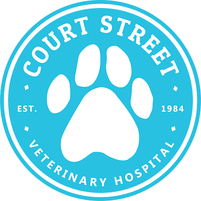 Court Street Veterinary Hospital