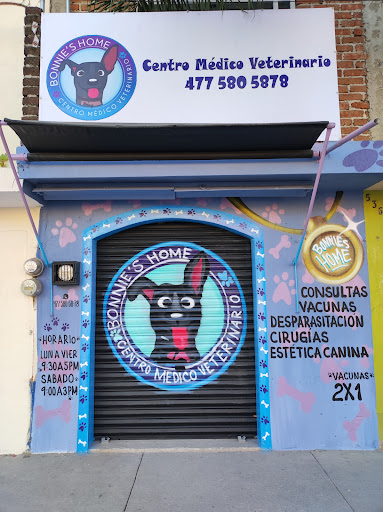 Centro médico veterinario "Bonnie's Home"