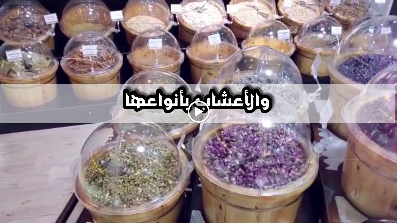 زيتون وزعتر لتجارة المواد الغذائية - صورة 2