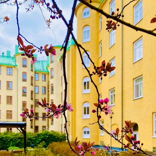Rörstrandskliniken Specialistmottagning Gallery - Sweden