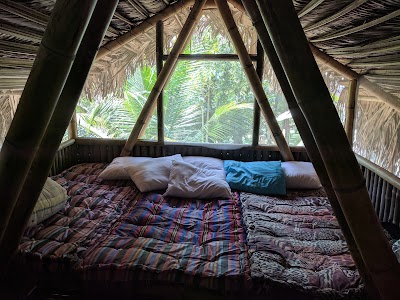 Photos of Finca Boca De La Angostura - PermaGuate