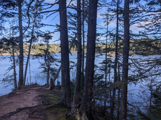 Chignecto National Wildlife Area