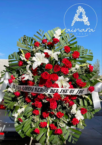 Florería Ainara - Visual