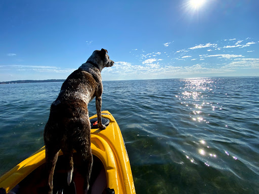 Semiahmoo First Nation - Thumbnail