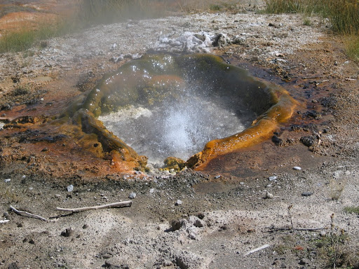 Mimulus Pool - Visual