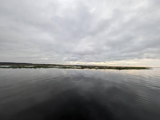 Little Big Econlockhatchee Wildlife Management Area - Kilbee Unit - Thumbnail