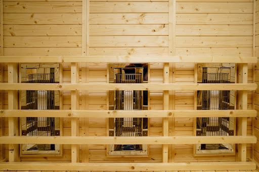 Löyly Health Recovery + Resilience