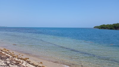 Photos of Placencia Municipal Pier & Plaza