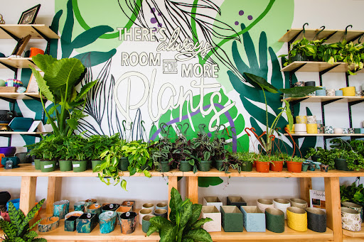 Paloma's Plants - Visual