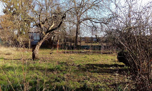 NABU-Garten - Thumbnail