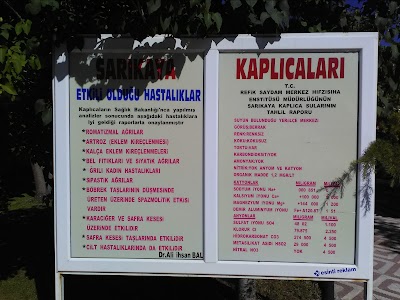 Photos of Date Sarikaya Springs