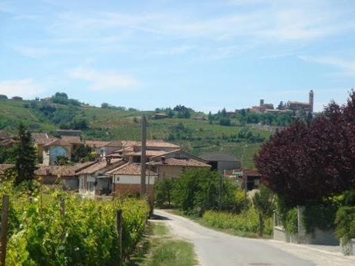 Azienda Agricola Soria Matteo Gallery - Italy